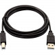 V7 USB Data Transfer Cable - 6.56 ft USB Data Transfer Cable - Type A Male USB - Type B Male USB USB2AB-02M-1E