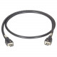 Black Box Locking HDMI to Locking HDMI Cable, 5-m (16.4-ft.) - 16.40 ft HDMI A/V Cable for Audio/Video Device - First End: 1 x HDMI Male Digital Audio/Video - Second End: 1 x HDMI Male Digital Audio/Video - 1.80 GB/s - Supports up to 1920 x 1200 - TAA Com