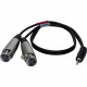 Qvs 2ft 3.5mm Male to Dual-XLR Female Dual-Microphone Audio Y-Cable - 2 ft Mini-phone/XLR Audio Cable for Camcorder, Audio Device, Microphone, Camera - First End: 1 x 3.5mm Male Stereo Audio - Second End: 2 x XLR Female Audio - Black XLRMIC-Y02
