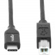 Rocstor Premium USB-C to USB-B Cable - 10 ft USB-C/USB-B Data Transfer Cable for Printer, Scanner, Hard Drive, Tablet, Ultrabook, Computer, Smartphone - First End: 1 x Type C Male USB - Second End: 1 x Type B Male USB - 60 Mbit/s - Shielding - Nickel Plat
