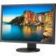 NEC Display Professional P243W-BK 24.1" WLED LCD Monitor - 16:10 - 8 ms GTG - 1920 x 1200 - 1.07 Billion Colors - 350 Nit - WUXGA - DVI - HDMI - VGA - DisplayPort - USB - 25 W - Black - RoHS - TAA Compliance P243W-BK