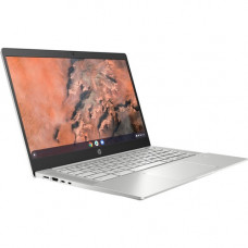 HP Pro c645 14" Chromebook - AMD Ryzen 3 3250C Dual-core (2 Core) 2.60 GHz - 8 GB Total RAM - 128 GB SSD - Pike Silver - Chrome OS - AMD Radeon Graphics - English Keyboard - 10 Hours Battery Run Time 2Z6G0UT#ABA