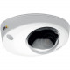Axis P3904-R MK II Network Camera - Color - 1280 x 720 - 3.60 mm - Cable - Dome - TAA Compliance 01071-001