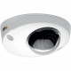 Axis P3905-R Mk II Network Camera - 10 Pack - Dome - H.264 (MPEG-4 Part 10/AVC), MJPEG - 1920 x 1080 - RGB CMOS - TAA Compliance 01072-041