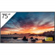 Sony 75-inch BRAVIA 4K Ultra HD HDR Professional Display - 74.5" LCD - Yes X1 - 3840 x 2160 - Direct LED - 2160p - HDMI - USB - Wireless LAN - Ethernet - Android 9.0 Pie - Black - TAA Compliance FWD75X800H