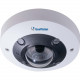 GeoVision GV-QFER12700 12 Megapixel Network Camera - Fisheye - 32.81 ft - H.265, Smart H.264, MJPEG - 4000 x 3000 Fixed Lens - CMOS - In-ceiling GV-QFER12700