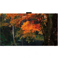 LG Fine-pitch Essential LAS012DB9-F Digital Signage Display - LCD - 2x2 Video Wall - 480 x 270 - LED - 600 Nit LAS012DB9-F