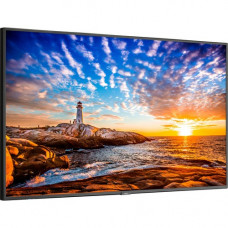 Nec Display Solutions Sharp NEC Display 55" Wide Color Gamut Ultra High Definition Professional Display - 55" LCD - Yes - 3840 x 2160 - Edge LED - 700 Nit - 2160p - HDMI - USB - SerialEthernet - TAA Compliance P555