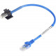 Black Box AlertWerks Temperature Sensor - 1-ft. Cable - 67&deg;F (-55&deg;C) to 167&deg;F (75&deg;C) - &#177;5% Temperature Accuracy EME1T1SNMP-R2