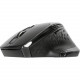 Targus Antimicrobial Ergo Wireless Mouse - BlueTrace - Wireless - Radio Frequency - 2.40 GHz - Black - USB Type A - 1600 dpi - Scroll Wheel, Thumbwheel - 7 Button(s) - Right-handed Only - TAA Compliance AMW584GL