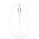 Mace Group Macally 3 Button USB Optical Mouse - Optical - Cable - USB - 1000 dpi - Scroll Wheel - 3 Button(s) ICEMOUSE2