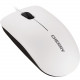 CHERRY MC 1000 Mouse - Optical - Cable - White Gray - USB 2.0 - 1200 dpi - Scroll Wheel - 3 Button(s) - Symmetrical - TAA Compliance JM-0800-0