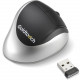 Keyovation GOLDTOUCH COMFORT BLUETOOTH WIRELESS MOUSE W/ DONGLE - Optical - Wireless - Bluetooth - 1000 dpi - Scroll Wheel - Right-handed Only KOV-GTM-BTD