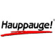 Hauppauge Computer Works WINTV-QUADHD PCIE - BULK PACK 10 UNITS BROWN BOX OF 99104-003 1691