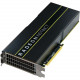Lenovo Radeon Instinct MI25 Graphic Card - 16 GB - Passive Cooler - PC 7C57A02897