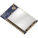 Digi XBee RF Transceiver Module - 36 XB9X-DMUS-011