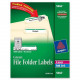 Avery &reg; TrueBlock(R) File Folder Labels, Sure Feed(TM) Technology, Permanent Adhesive, Green, 2/3" x 3-7/16", 1,500 Labels (5866) - Permanent Adhesive - 21/32" Width x 3 7/16" Length - Rectangle - Laser, Inkjet - Green - 30 / S