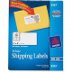 Avery &reg; TrueBlock Shipping Labels - Sure Feed - Permanent Adhesive - 2" Width x 4" Length - Rectangle - Inkjet - White - Paper - 10 / Sheet - 500 Total Label(s) - 500 / Box - TAA Compliance 8363