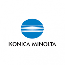 Konica Minolta DV311K Developer - 600000 Pages A0XV03D