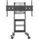 Avteq DynamiQ RPS-500 - 1 Shelf - 145 lb Capacity - 4 Casters - 5" Caster Size - Steel - 48" Width x 30" Depth x 74" Height - Black Frame - TAA Compliance RPS-500-BB-CSB55B