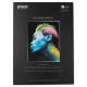 Epson Inkjet Fine Art Paper - 98% Opacity - 13" x 19" - 330 g/m&#178; Grammage - Matte, Smooth - 25 / Pack - TAA Compliance S042330