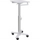 Ergotron StyleView S-Tablet Cart, SV10 - 30 lb Capacity - 4 Casters - 3" Caster Size - Metal, Steel - White, Aluminum - TAA Compliance SV10-1800-0