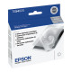 Epson Gloss Optimizer Cartridge 2-Pack (400 Yield) - Design for the Environment (DfE), TAA Compliance T054020