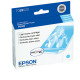 Epson Light Cyan UltraChrome K3 Ink Cartridge - Design for the Environment (DfE), TAA Compliance T059520
