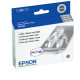Epson Light Black UltraChrome K3 Ink Cartridge - Design for the Environment (DfE), TAA Compliance T059720