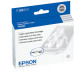 Epson Light Light Black UltraChrome K3 Ink Cartridge - Design for the Environment (DfE), TAA Compliance T059920