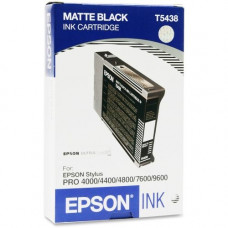 Epson Matte Black UltraChrome Ink Cartridge (110 ml) - TAA Compliance T543800