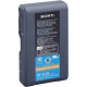 Sony BPGL95A Camcorder Battery - For Camcorder - Battery Rechargeable - 95 Wh - Lithium Ion (Li-Ion) BPGL95A