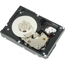 Total Micro 900 GB Hard Drive - 2.5" Internal - SAS (6Gb/s SAS) - Server, Storage System Device Supported - 10000rpm 342-3524-TM