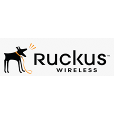 Ruckus - Breakout cable - QSFP28 (M) to SFP28 (M) - 3.3 ft - passive E100G-QSFP-4SFP-P-0101