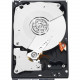 Western Digital WD Black WD1002FAEX 1 TB Hard Drive - SATA (SATA/600) - 3.5" Drive - Internal - 7200rpm - 64 MB Buffer - Hot Swappable WD1002FAEX