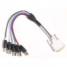 Polycom DVI-D Cable - DVI - 9.84 ft - DVI-D (Single-Link) Male Digital Video - DVI-D (Single-Link) Male Digital Video - RoHS Compliance 2457-23793-001