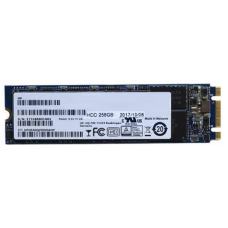 HP Flash Memory - SSD - 256 GB - internal - M.2 - SATA - CTO 2DY42AV