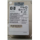 HP Hard Drive 300GB 10K SAS DP 2.5" w/Caddy 375863-015