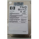 HP Hard Drive 300GB 10K SAS DP 2.5" DG0300BAHZQ 375863-016 9FK066-035