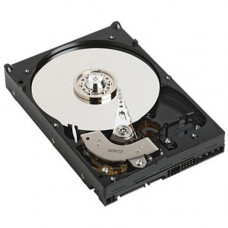 DELL 2tb 7200rpm Sata-ii 3.5inch Hard Disk Drive With Tray For Poweredge And Powervault Server D0FJ9