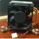 HP Processor Fan Heatsink Assembly (includes Replacement Thermal Material) For Elitedesk 800 G1 Tower Pc 711578-001