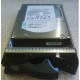IBM 300gb 15000rpm Hot Swap 3.5inch Sas-3gbps Disk Drive With Tray 43X0805