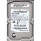 SAMSUNG F1dt 320gb 7200rpm 8mb Buffer 3.5inch Sata-ii Hard Disk Drive For Desktop HD321HJ