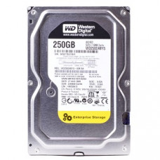 WESTERN DIGITAL Re3 250gb 7200rpm Sata-ii 7pin 16mb Buffer 3.5inch Low Profile (1.0 Inch) Enterprise Hard Disk Drive WD2502ABYS