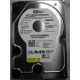 WESTERN DIGITAL Re2 500gb 7200rpm Sata-ii 16mb Buffer 3.5 Inch Low Profile (1.0 Inch) Hard Disk Drive WD5001ABYS