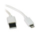 Tripp Lite M100-006-WH 6ft USB Type A Male to Apple 8Pin Lighting Male Sync/Charge Cable (White)    