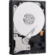 Western Digital Blue 250 GB 2.5" Internal Hard Drive - SATA - 5400 - 8 MB Buffer - Hot Swappable WD2500LPVX